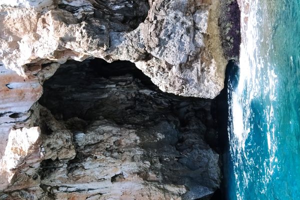 020b45f4 770f 4017 A61e 8f92017deaa5