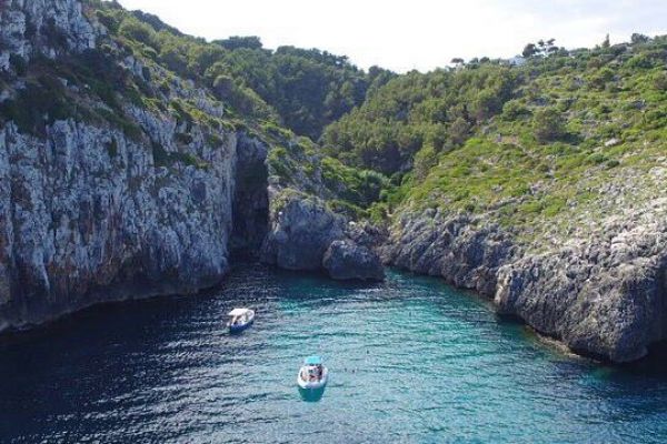 13707341 905844852858864 1967985299 N