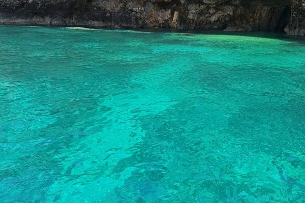 760d6656 Bbd0 43fe 92e7 18162574df91